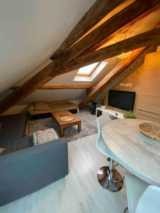 Gap : Centre Ville : Appartement Cosy Buitenkant foto